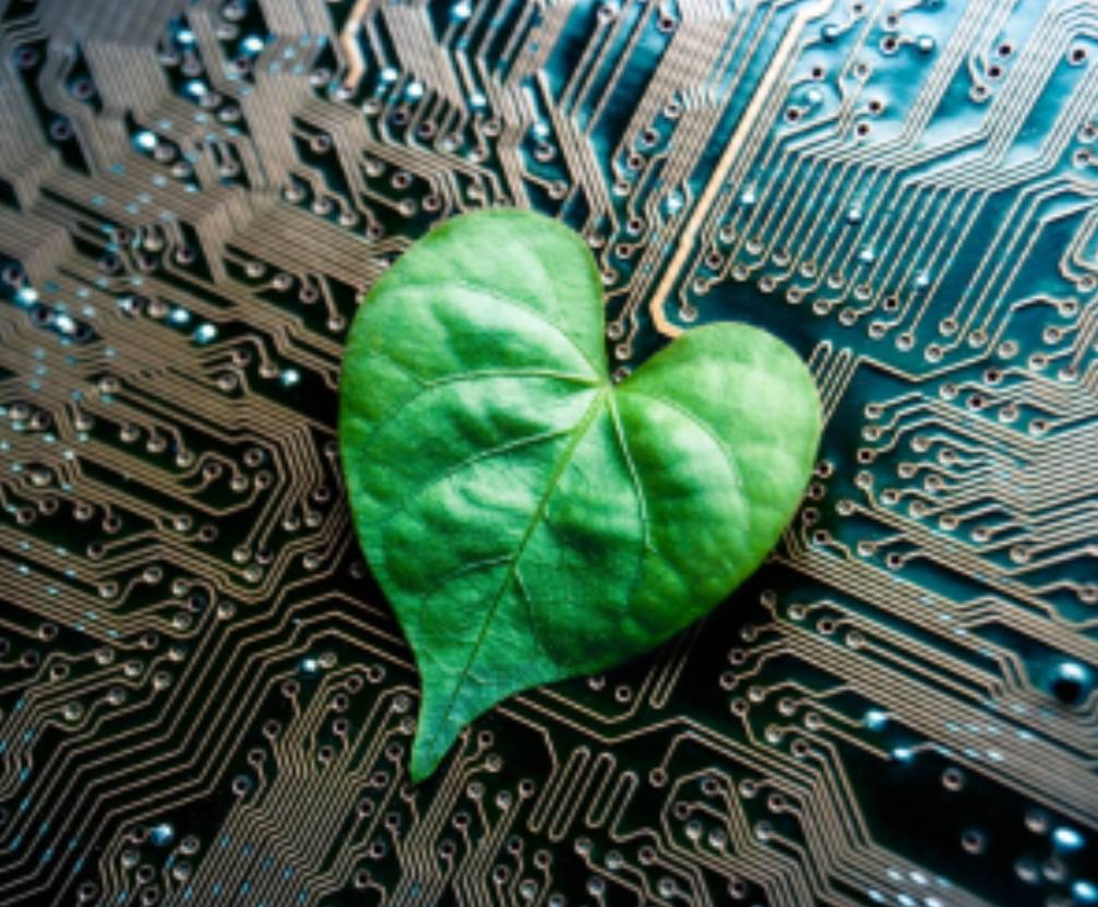 ESIGELEC and Society ESIGELEC and Society