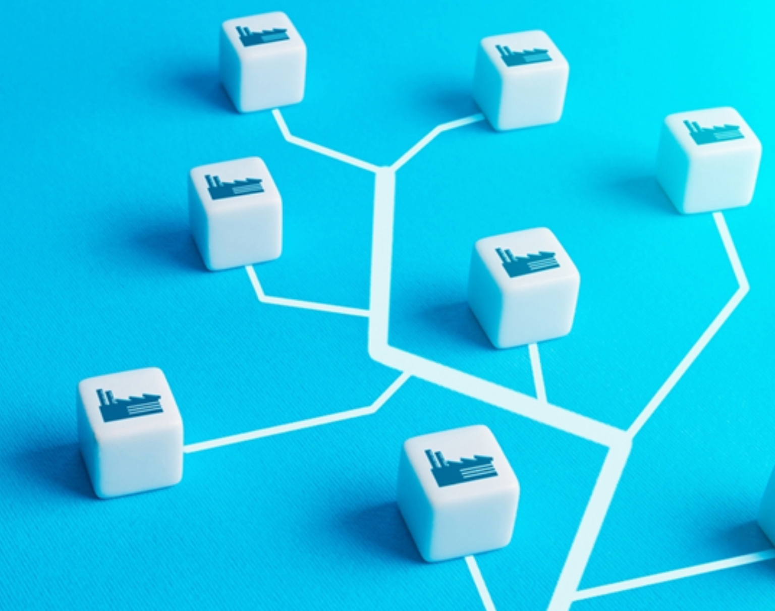 The Activity Clusters The Activity Clusters