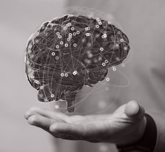 What you will learn…